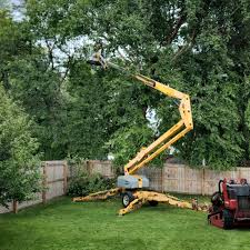 Best Organic Lawn Care Solutions  in Highland Park, TX