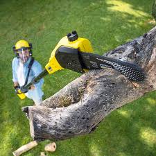 Best Lawn Grading and Leveling  in Highland Park, TX